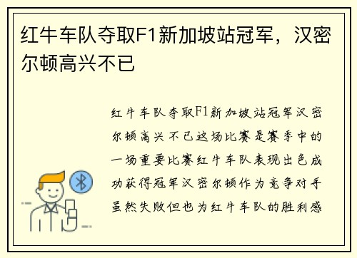 红牛车队夺取F1新加坡站冠军,汉密尔顿高兴不已
